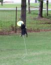 Addie Catching Frisbee